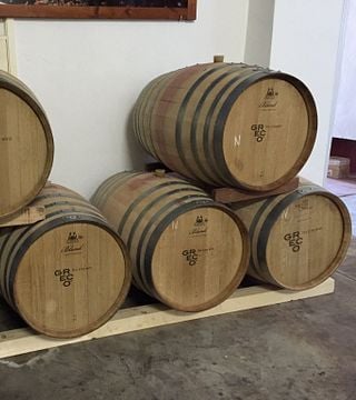 Dégustation de vins et visite chez Romaldo Greco