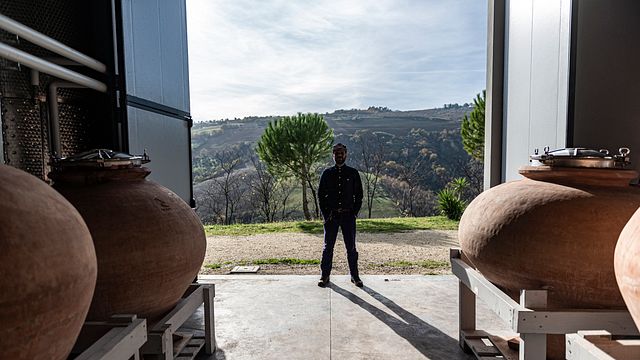 Degustação exclusiva de vinhos na Cirelli Wines
