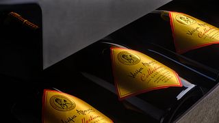 Cata de vinos de prestigio en Avantis Estate 