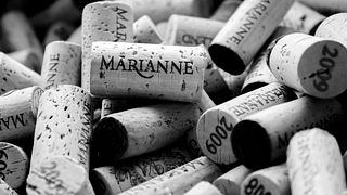 Marianne Wine Estate