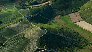 Weinprobe und Tour bei Michele Chiarlo