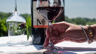 Savor Piedmont Wines & Pairings at La Mondianese
