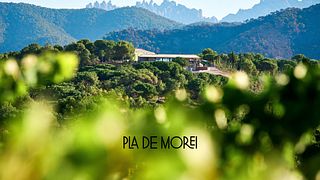 Dégustation de vins et visite du Pla de Morei