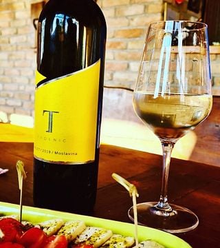 Cata de vinos y visita guiada en Vinarija Trdenić