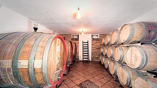 Dégustation de vins et visite à Tenuta Garetto