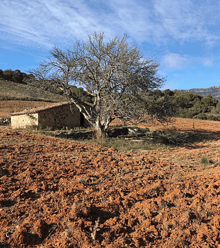 Weinbergtour und Weinprobe bei Gritelles