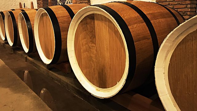 Dégustation de vins et visite à Javakhishvilebis Marani
