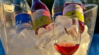 Dégustation de vins et visite des Bodegas Viticultores De Barros