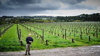 Weinprobe und Tour bei Quealy Winemakers
