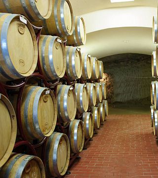 Visita e degustazione di vini presso la Cantina Villa Melnik