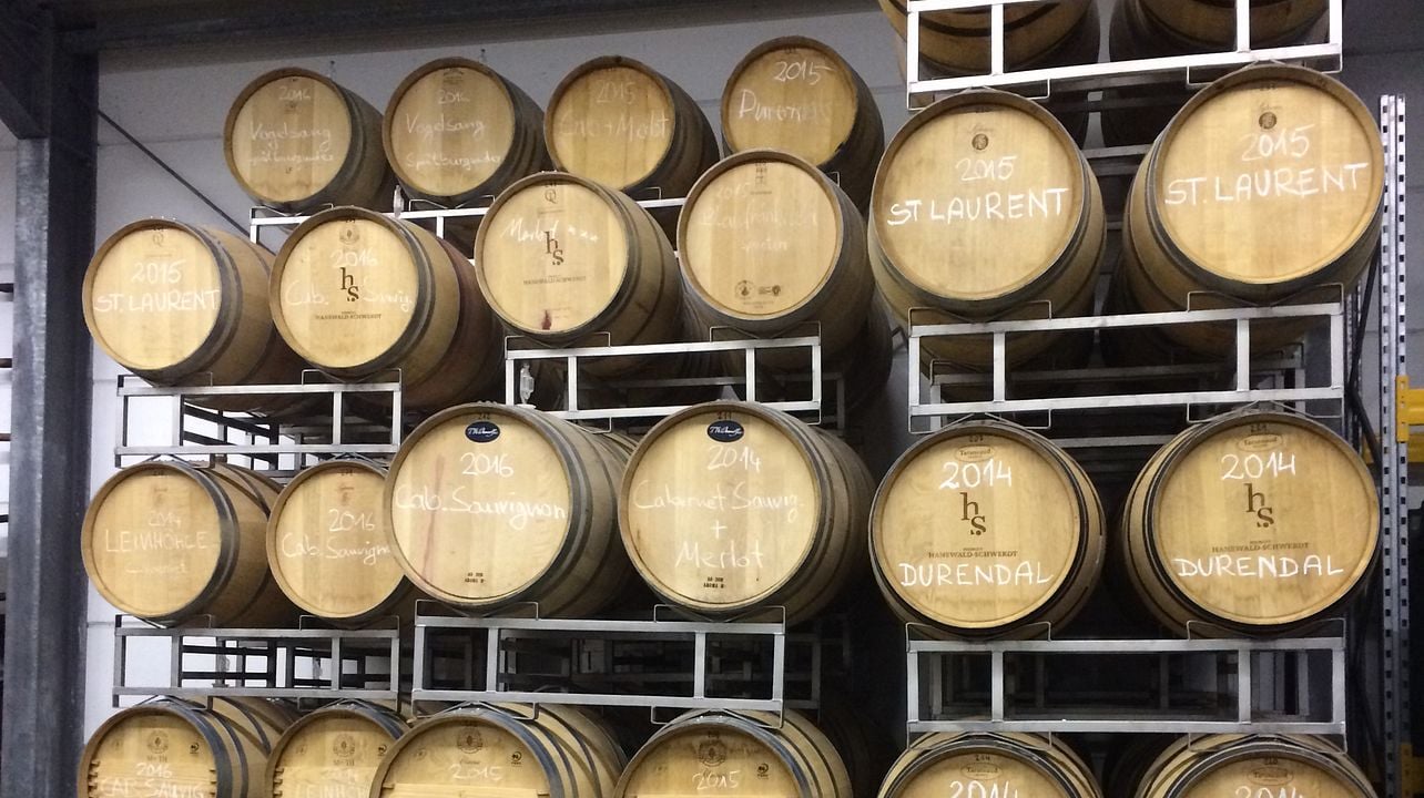 Weinprobe mit Weinberg- & Kellerführung | Weingut Hanewald-Schwerdt