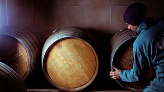 Vingårdstur och vinprovning på Alessandro Mo Winery