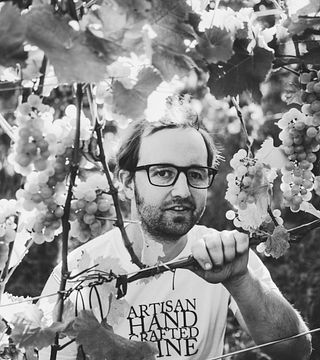Cata de vinos y visita guiada en Herrenhof Lamprecht