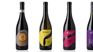 Sicily’s Organic Wine & Vineyard Tour at Tenuta Bastonaca