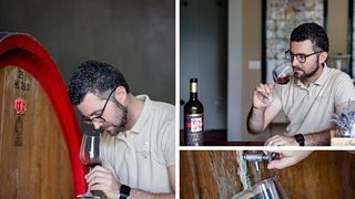 Dégustation de vins et visite à la Fattoria di Montemaggio