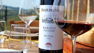The real Langhe experience - 5 wines tasting & cellar visit