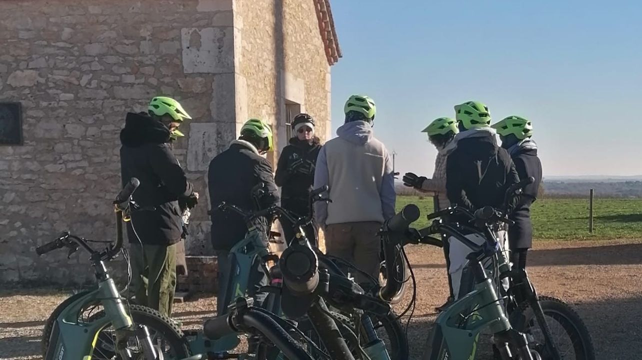 Paseos en scooter por el viñedo