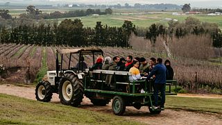 Dégustation de vins populaires et visite à Slent Farms