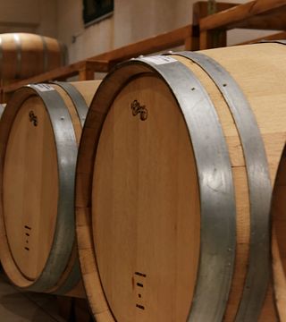 Degustazione di vini e tour presso la Tenuta Bizios