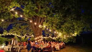 Picnic Tra i Filari e Degustazione presso l'Azienda Agricola Calatroni