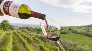 Degustação de vinhos e tour na Villa Spinosa