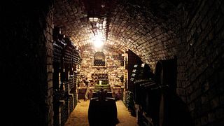 Weinprobe mit Abendessen und Verkostung im Weingut