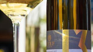 Degustação de vinhos e passeio no recife de Weingut