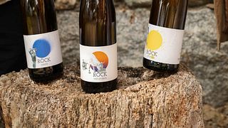 Weinprobe im Weingut Rock