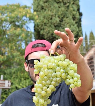 Azienda San Quirico: A Taste of Tuscany
