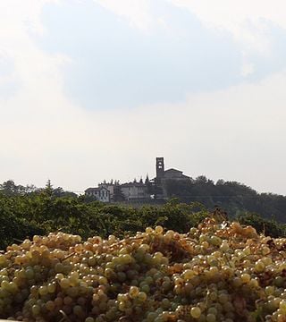 Entdecken Sie Oltrepò, von den Weinbergen bis zur Flasche