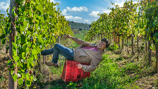 Tenuta Di Montechiaro