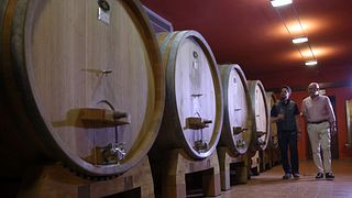 Wein- und Speisenerlebnis