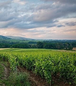 Visite privée du Priorat au départ de Barcelone