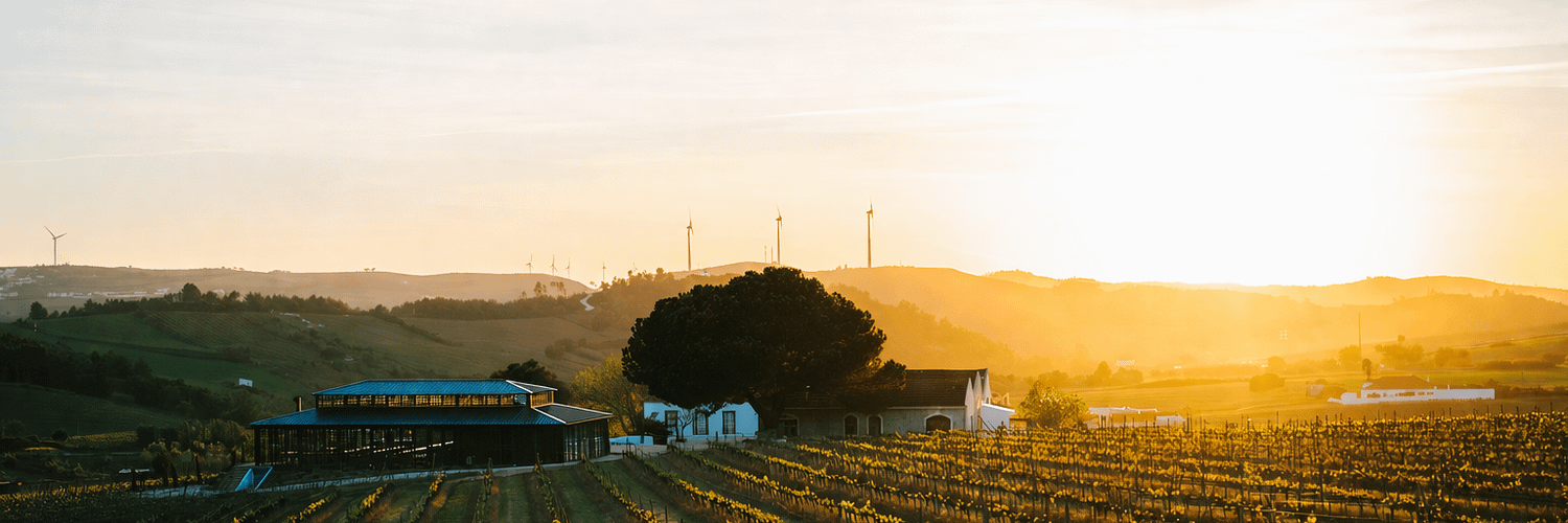 Vineyard To Building01