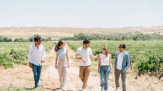 Toledo City Tour & Winery Experience with Wine Tasting from Madrid