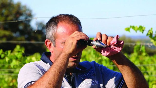 Degustazione di vini e visita allo Château Haut-Blanville