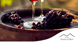 Cantina Terra Felice