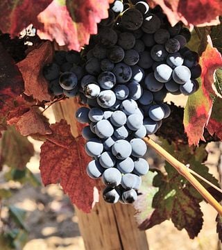 Quinta Do Zambujeiro
