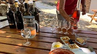 Excursión privada de día completo al valle del Duero: cata de vinos, almuerzo y visita turística