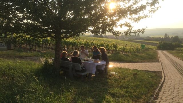 Dégustation de vins et visite du Gustavshof