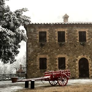 Degustazione e visita ad Alussinante