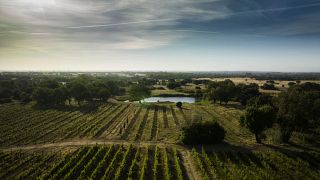 Fitapreta | New & Old Vineyards