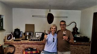 Degustazione di vini presso Sirlyn Wines