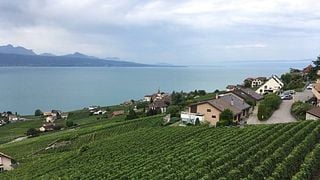 Domaine Croix Duplex