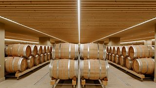 Cata de vinos premium