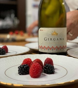 Dégustation de vins et visite populaires au domaine viticole de Tsarev Brod