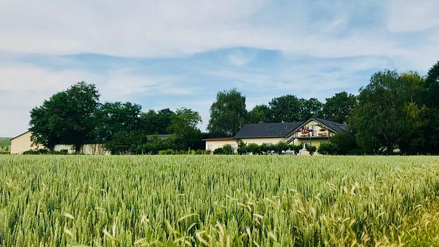 Rheinhessen Wine & Stories at Paulinenhof