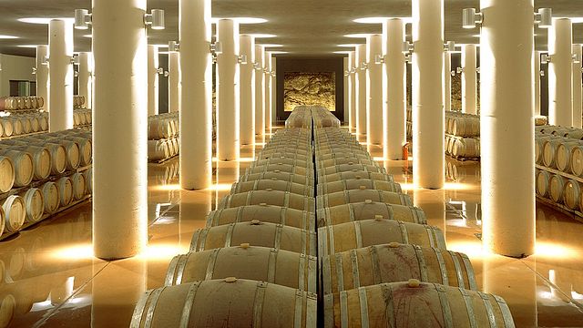 Dégustation de vins classiques au Castello Di Fonterutoli