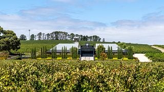 Dégustation de vins et de chocolat et visite du domaine de Beresford avec visite du vignoble