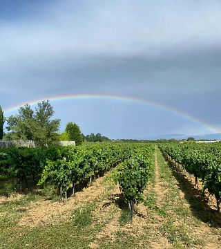 Domaine de Saint-Pierre